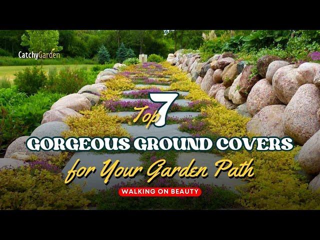 Walking on Beauty: 7 Gorgeous Groundcovers for Your Garden Path ️ // Gardening Ideas