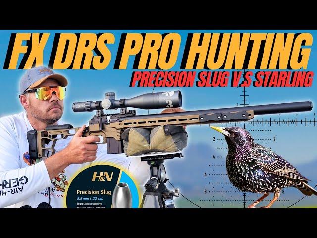 FX DRS PRO AIRGUN HUNTING I H&N PRECISION SLUGS VERSUS STARLINGS I PEST CONTROL WITH AIR RIFLE