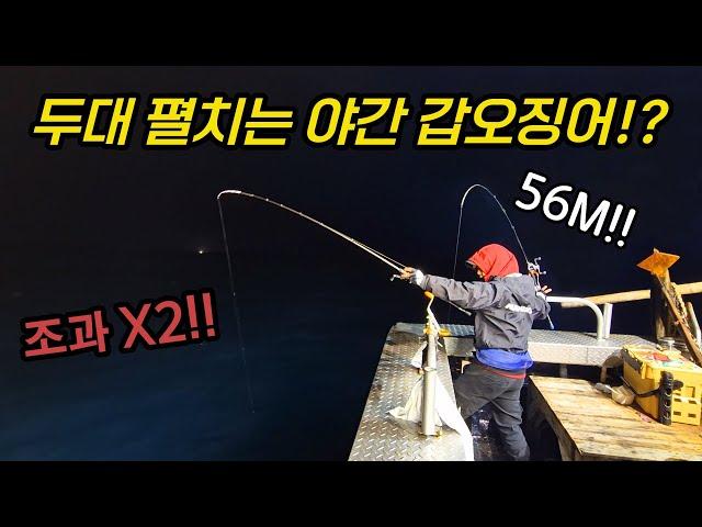 한치와 갑오징어를 동시에 잡을 수 있는 지금 이 시기를 놓치지 마세요!!