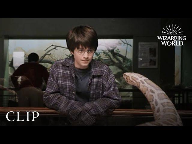 Harry and the Snake | Harry Potter and the Philosopher's Stone