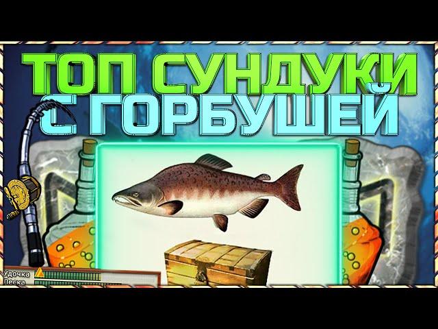 РР3 ГДЕ ЛОВИТЬ СУНДУКИ С ГОРБУШЕЙ?