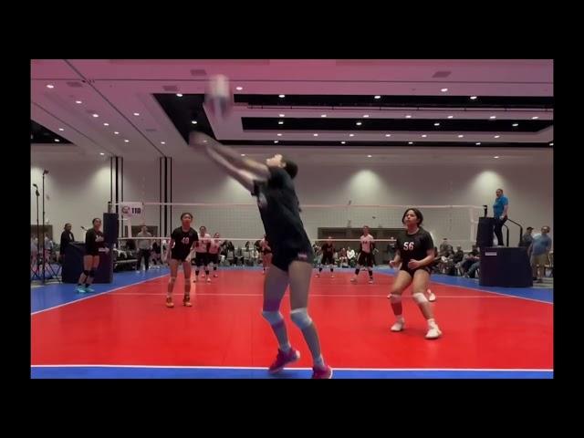 Constanze Mangano Vb Highlights (2023-2024 Season)