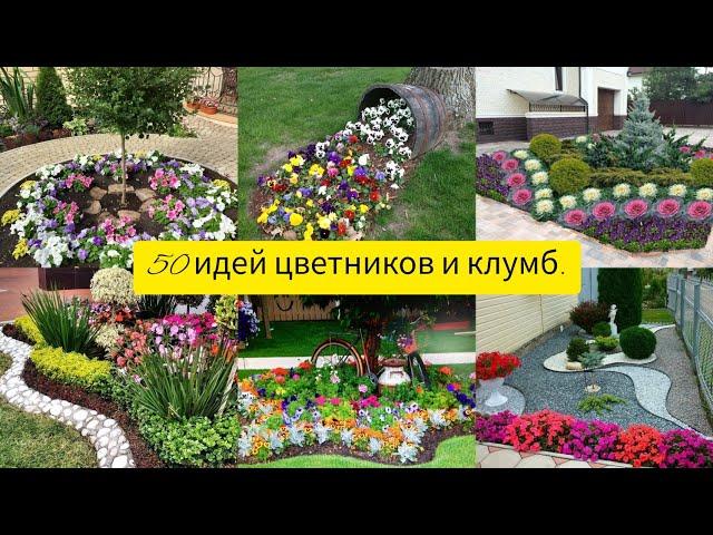 Beautiful flower beds and flower beds in the country and near the house with their own hands.50 idea