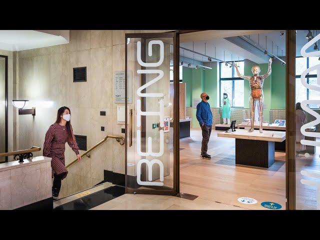 Reopening Wellcome Collection: what to expect on your visit