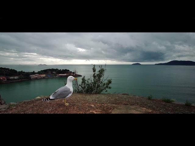 FIMI PALM | DJI MAVIC AIR 2 | Il mare attorno a Lerici ( 4k cinematic footage )