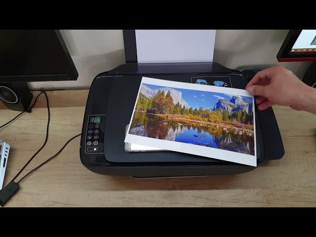 HP Ink Tank Wireless 415 Printer 8 MONTHS AFTER!!!