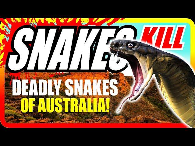 HAVE You Seen These DEADLY SNAKES while CAMPING in Western Australia?