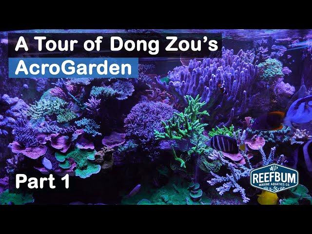 A Tour of Dong Zou's AcroGarden - Part 1