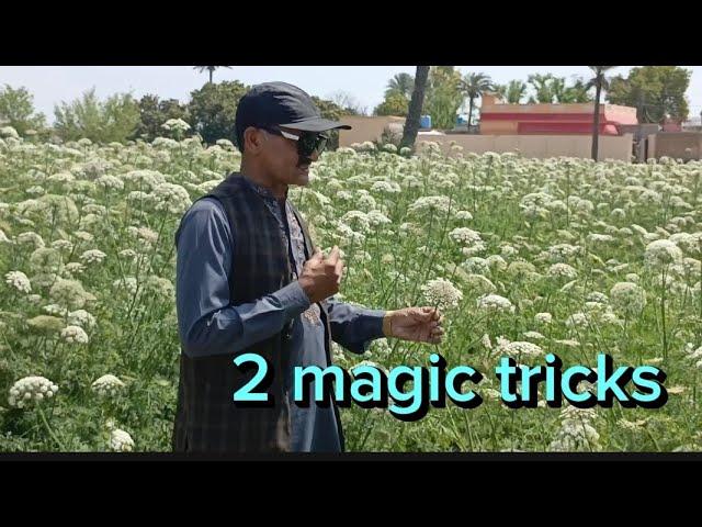 2 amazing magic tricks | qasim magic tricks #magic #youtubevideo #viralvideo #video