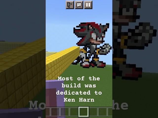 Minecraft View of the Sonic Wild Ride (ONE DIFFERENCE)