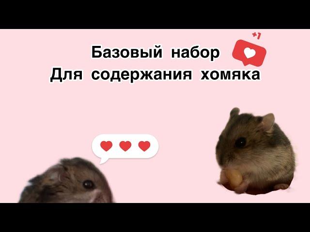 Базовый набор для содержания хомячка ! ￼