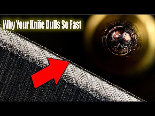 Why Your Knife Dulls So FAST! Proper Burr Identification And Removal