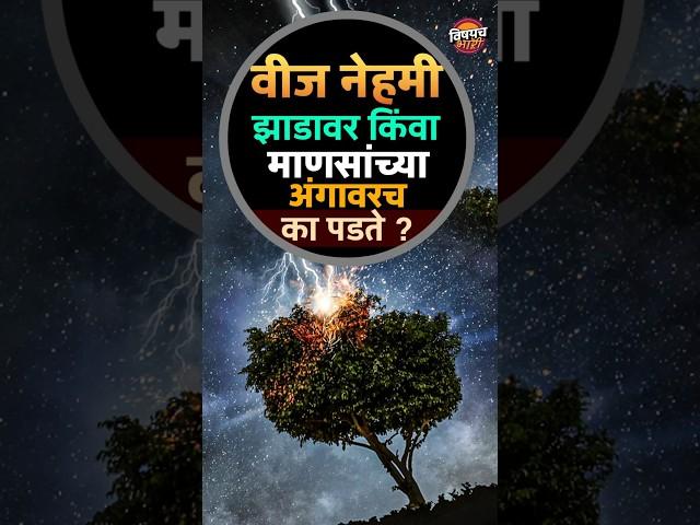 वीज नेहमी झाडावर किंवा माणसांच्या अंगावरच का पडते ? | Science Of Thunder |  Vishaych Bhari