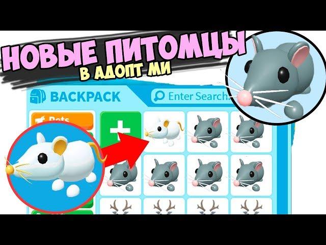 New Pets RATS in the game adept mi in roblox ! Update in adopt me