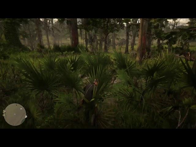 Red dead redemption 2.Прохождение #4