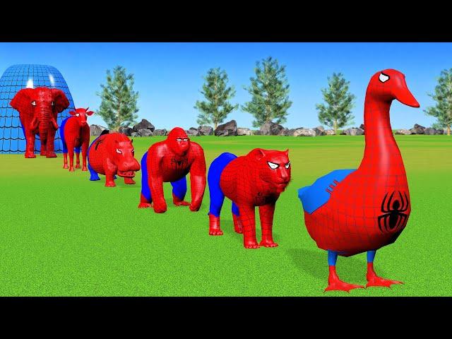 Long Slide Game With Cow Elephant Tiger Gorilla Duck Hippo - 3d Animal Game - Funny 3d Animals