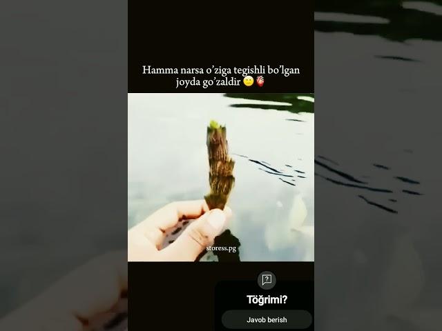 Pastdagi savolga javob bering 