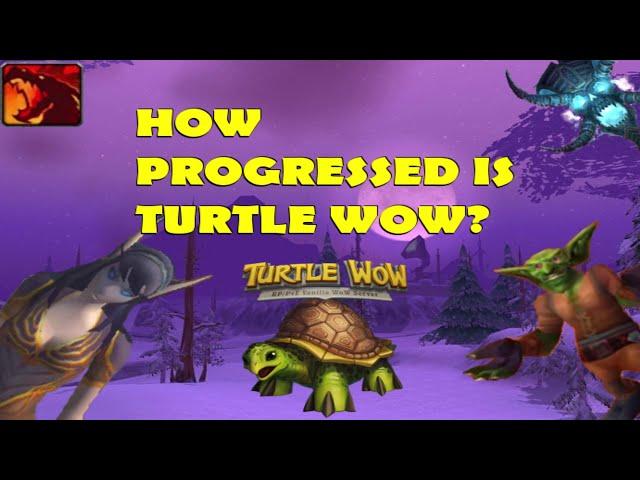 How progressed is Turtle Wow? May 2021