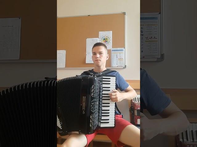 #accordion #music #cover #сплин