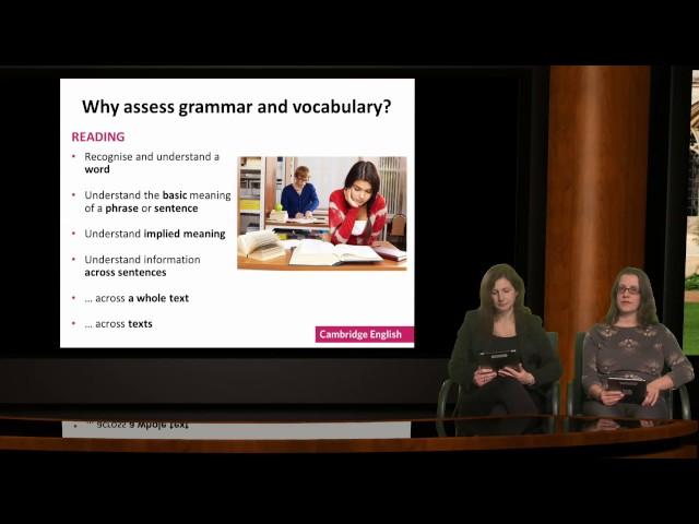 Understanding grammar and vocabulary assessment: what every teacher should know