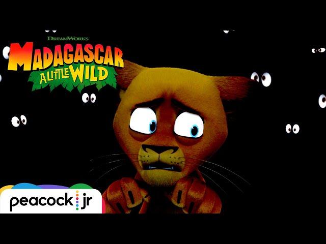 Alex Gets Lost in the Wild | MADAGASCAR A LITTLE WILD