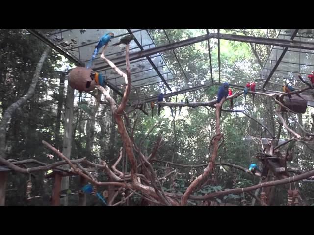 Inside a giant bird cage