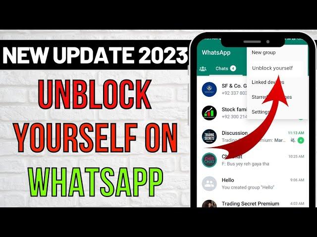 How to Unblock Yourself on Whatsapp When Someone Blocks you 2023 | Get unblocked on Whatsapp