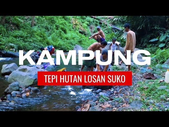 KEHIDUPAN DI PEDESAAN KAMPUNG TEPI HUTAN MAHONI | MENGUPAS MISTIS HUTAN  LOSAN SUKO