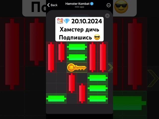  20.10.2024 Hamster Kombat как пройти мини игра лабиринт комбо #hamsterkombat #крипта #биткоин