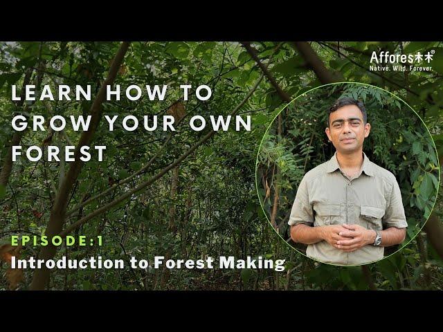 Ch:1 | Introduction to Forest Creation Series | Forest Creation Tutorials | English