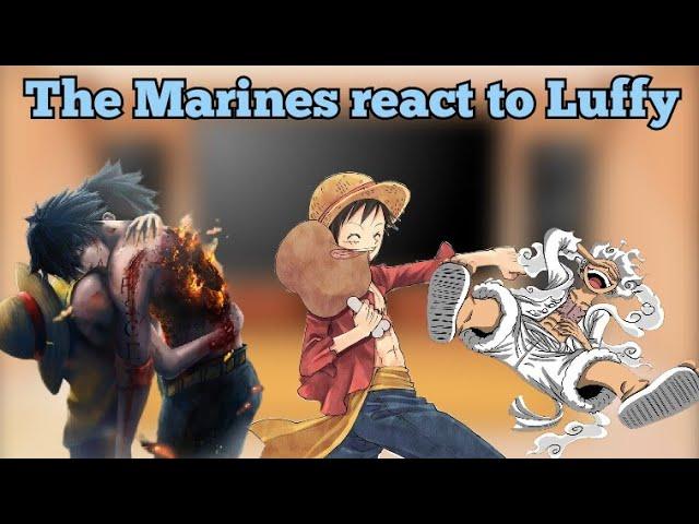 Marine's reaction to Luffy|•|One Piece|•|/