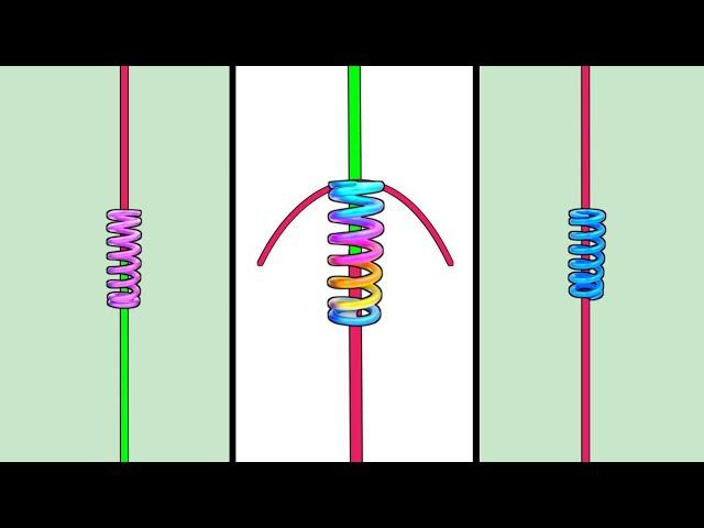 FG knots - Easy way to connect strong fishing line