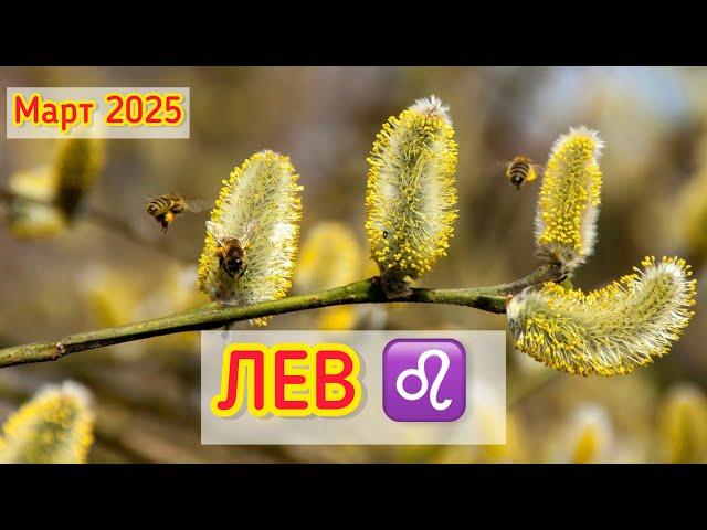 ЛЕВ - ТАРО ПРОГНОЗ / ЛЕВ МАРТ 2025 / ТАРО ПРОГНОЗ НА МАРТ 2025 #таро #лев #львы #март