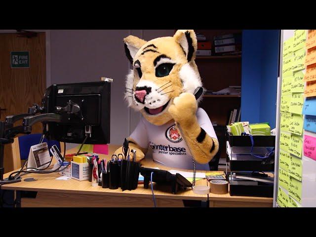 Roary's First Day At Work | printerbase.co.uk