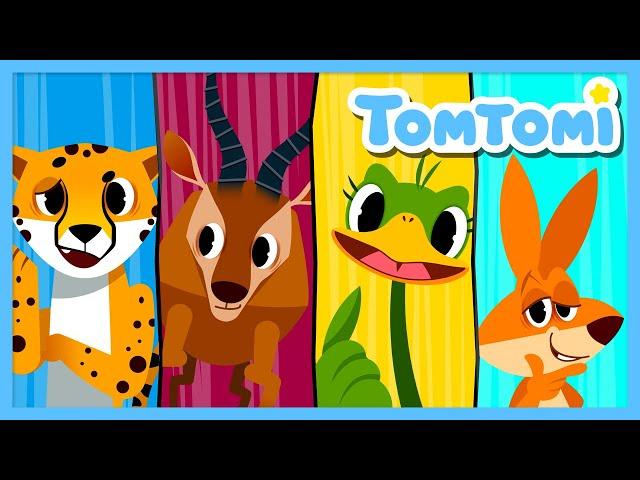 Zum Zum Carrera De Animales | Canciones de animales| Canciones Infantiles | TOMTOMI en español