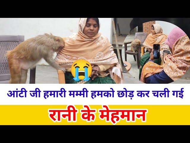 monkey Rani Miss mummy।। news reporter from dalmau।। Aakash monkey Rani interview।। @AkashRBL783