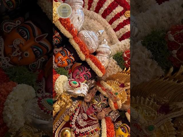 ANGALAPARAMESHWARI AMMA | COX TOWN PALLAKI ALANKARAM | @TempleMonk #angalamman #pallaki #tamte