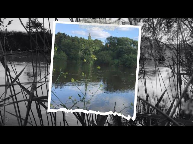  Opening day on the River Severn pursuing barbel