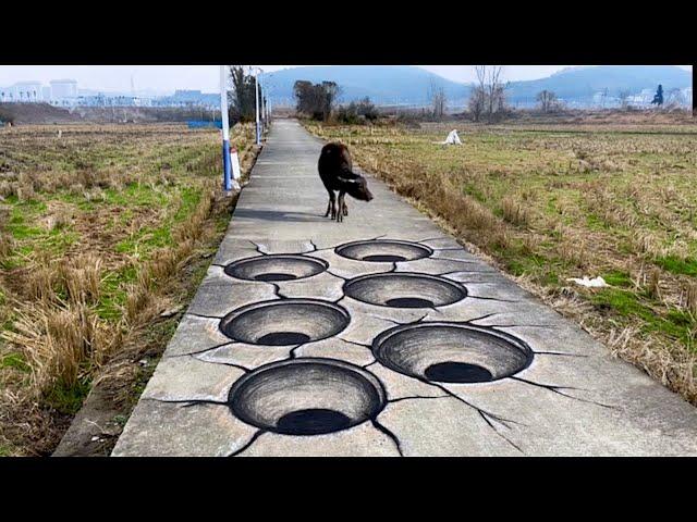 How to Draw Funny 3D art With Charcoal on the road for fun