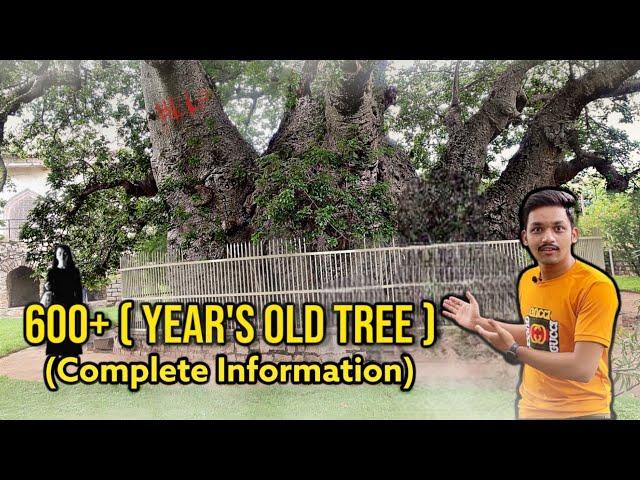 Hatyan Ka Jhad - 600 Year's Old Tree | Hyderabad | Fun With Adnan