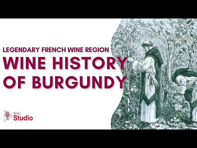 WSG Studio - Wine History of Burgundy