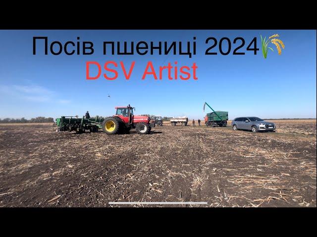 Посів пшениці  2024 на Полтавщині‼️ Сіємо в бетон Всі сподівання на дощ ️ DSV Artist