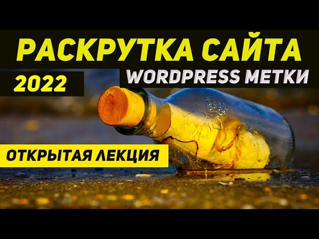 Продвижение сайта Wordpress метками от А до Я | Про заголовки и SEO раскрутку сайта