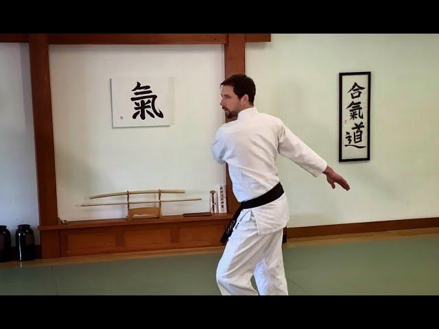 Aikido Hitori Waza