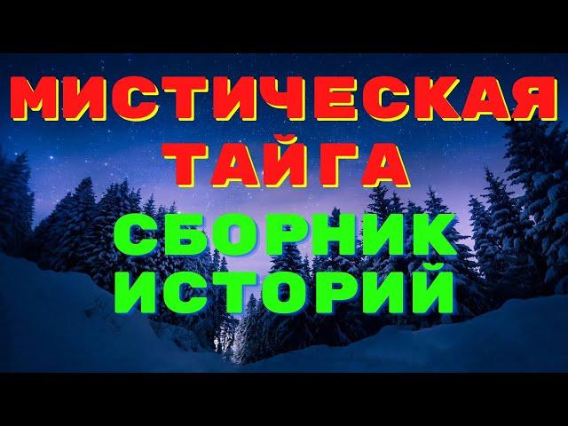 Истории таёжных охотников/ Охотничьи байки/ Страшные истории