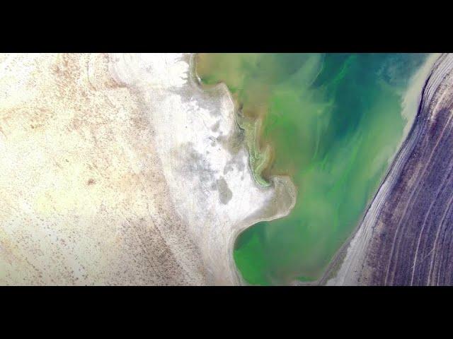 San Luis Reservoir - Drone - #Rubicon #ikampernation #skydio2