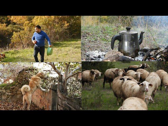 KÖYÜNÜ TERK ETMEK ZORUNDA KALAN GENÇ - YENİ KANAL YENİ HEYECAN ( BELGESEL HD )