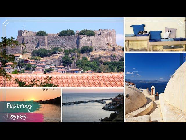 Exploring Lesvos | Molyvos, Petra & Anaxos | Travel Vlog August 2023