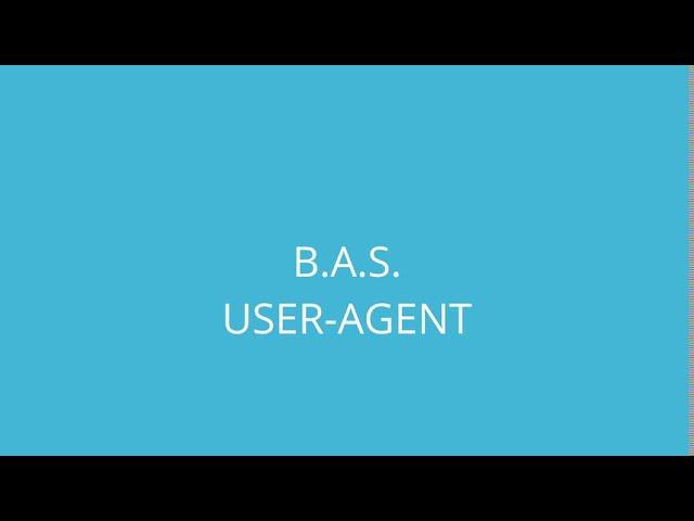 B.A.S. задаём User-agent