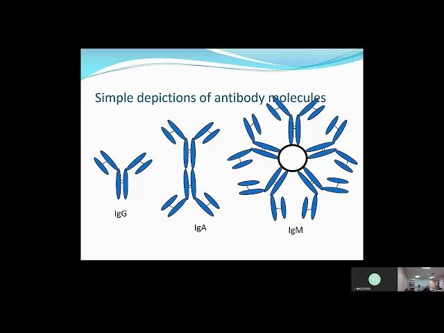 Measurement & Interpretation of Immunoglobulin Levels (Barnes)